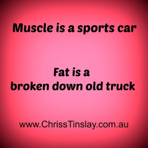 muscle is a sports car