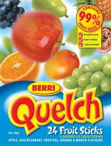 quelch ice blocks